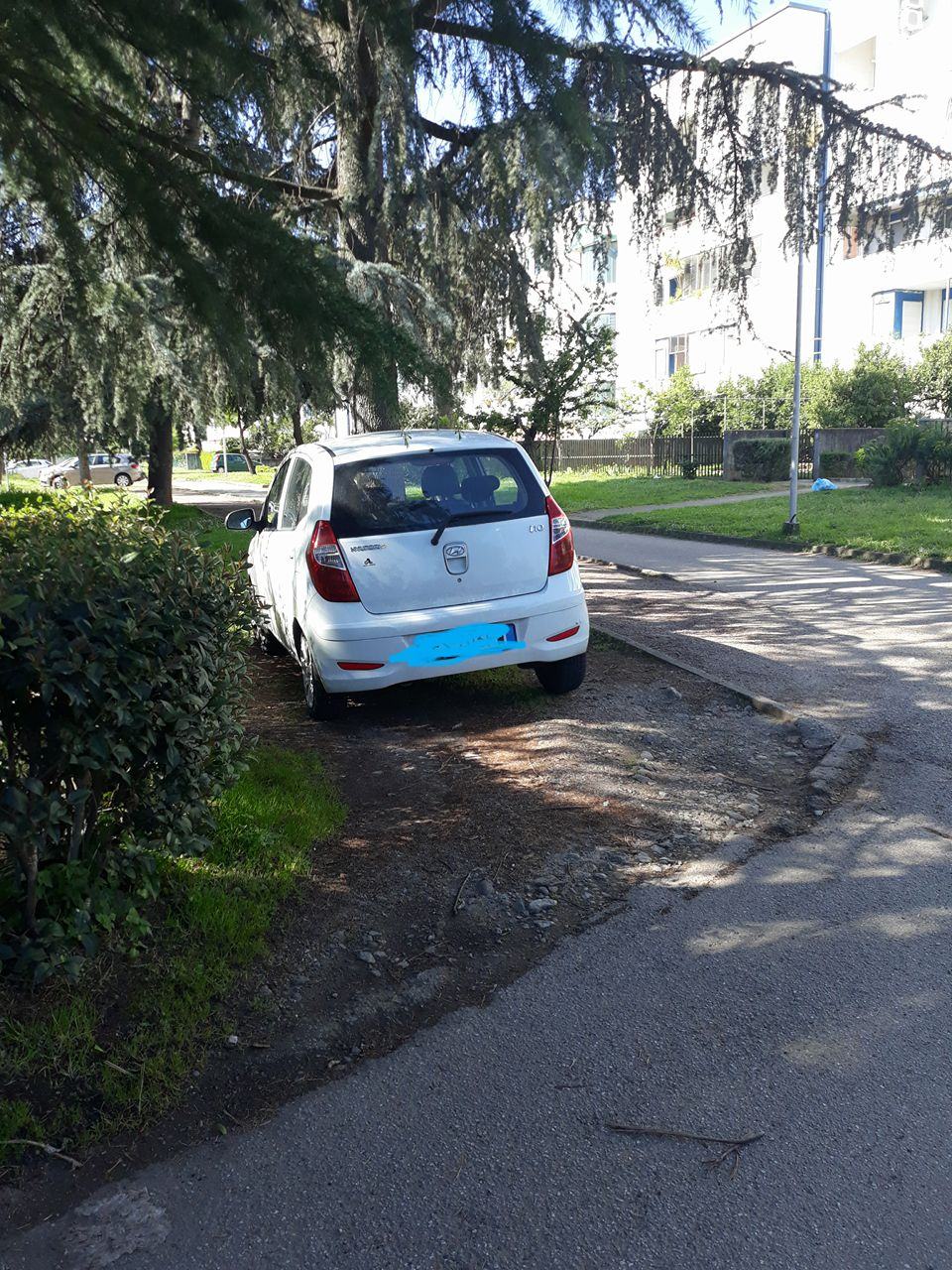 Al Villaggio Europa piste ciclabili e aiuole diventano parcheggi abusivi (FOTO) 59 30415583 10215615172683176 950182637165608960 o