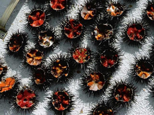 30c017096fa3d15d06f90703fdc844ee