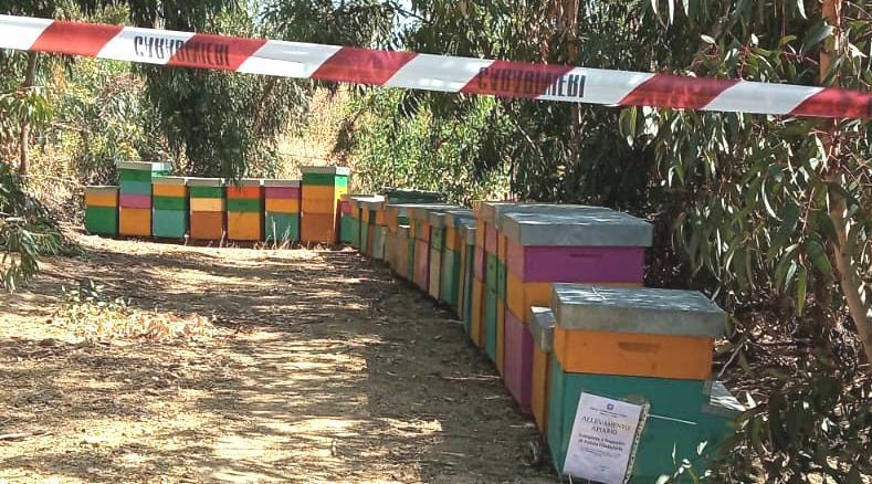 31 arnie sequestro cutro apicoltore