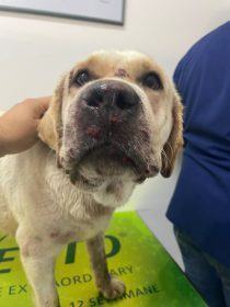 318553916 2387304338088502 7692288064571456739 n