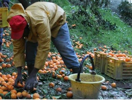 321079a73cda7ae69e7bbe90431fa472