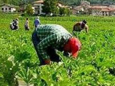 341835f1b11138491db373f80404e3bc