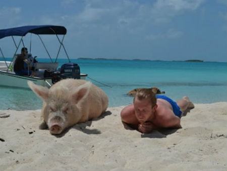 3462b6241f39194dc1e7b7a3714b3d9b