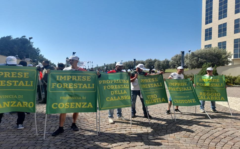 346ac934 b5b6 4916 b549 a93ef0b43339