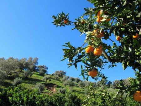 349ce6e317b265e4a7d221c514b17fbb