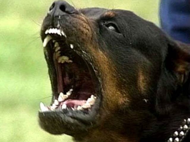 34b9e4b0a3a30c01509d0ee96d7a63c1