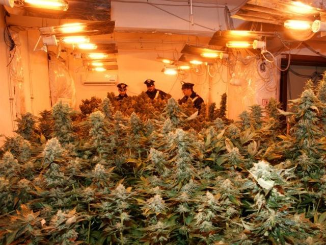 351580cc4b01dadabefc10ca2996d5c4