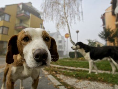 358d2e553c2b8dbf11189ab76f813653