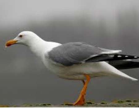 36186b9593edcdf5cd4e3b1bfc08aa12