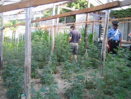 363cb5cbc907b51a8ede5af937c12624