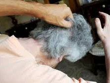 3679cc22798bdc0a7ef0d01bee468343