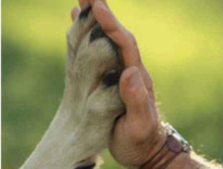 3680d3511a651fddd82794bd6023d502