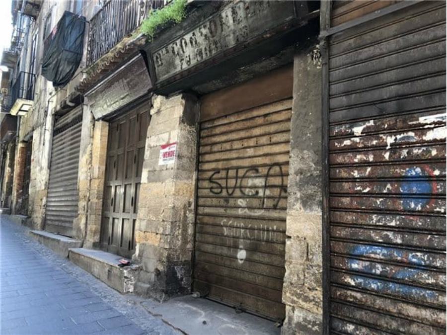 37179916 644754505878324 7857116822301048832 n