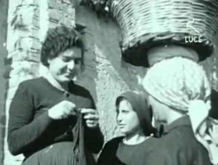 3817fdba40b3d8dad6cba9fad5065903