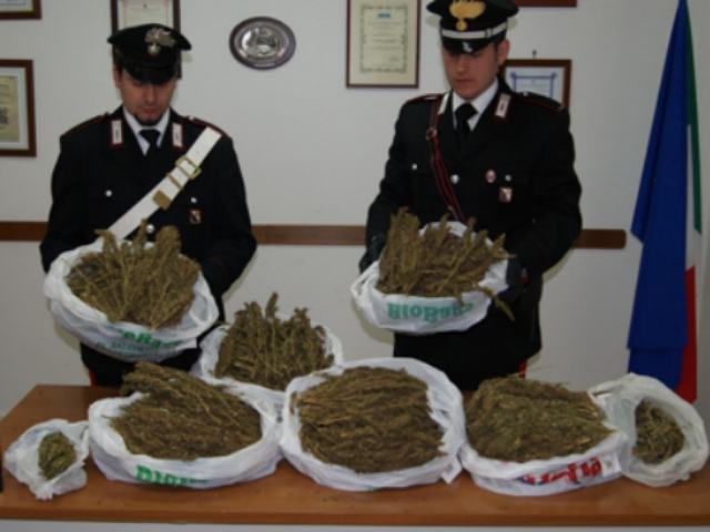 38bea6f232aa990273b367ca55af8e69