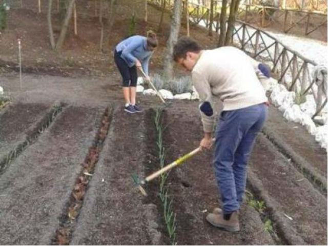 391504a02cf8a2e2ff9cbbbf6550c205