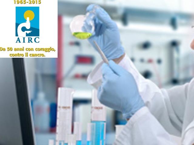 391915d80167eadd95c790ae66bacc1e