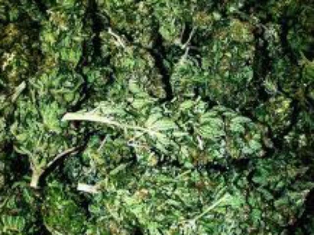 2,5 kg di marijuana, arrestato 51 39fbe92a273f28fb49b826cde8095d29
