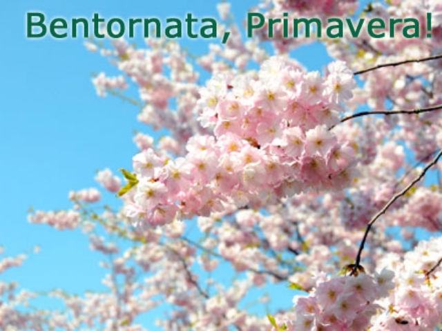 3a763d2ba4f6e3848d1847c1281e1e08