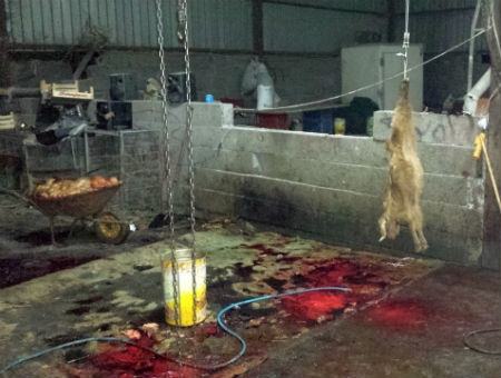 3b24a0062bd7e61b55649b21d5fa7cb3