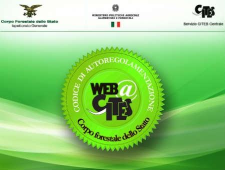 3b98bb6c5713c8b85f382820a77065f4