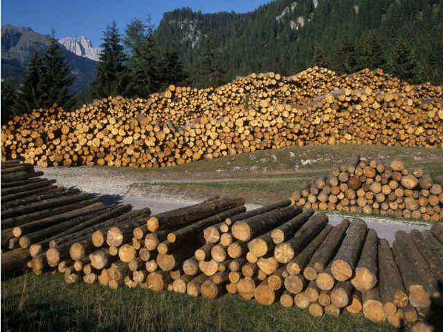 3be5d63fbde142e6f49a38675e4bc899