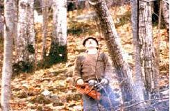 3c65a8b6ed47b02f594bfa3836895e79