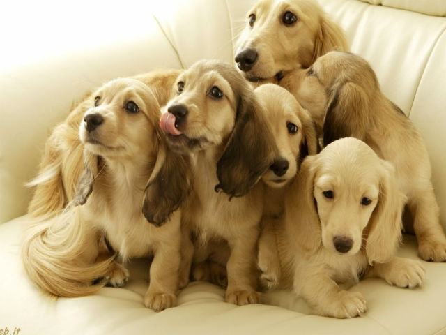 3cfd4ff673c93395fd580159a9616109