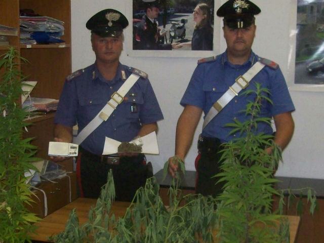 3d105248b10b0d962a881701f9482c8d