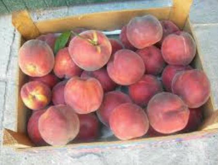 3d58e69e1cac64cfc186757582af6318