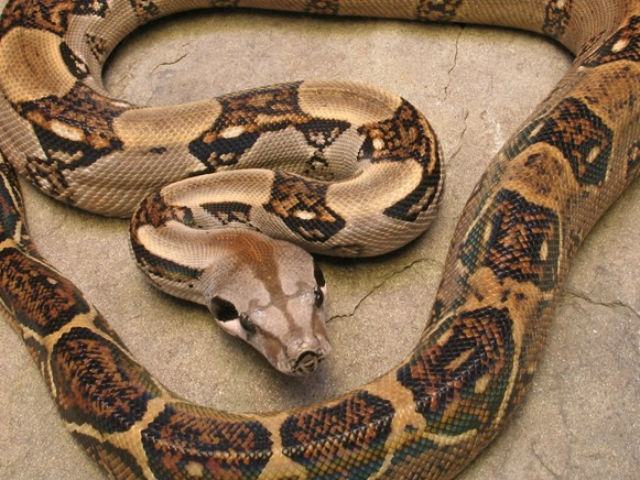 3d60c59513c5401f0ab6d4fcaaed6631