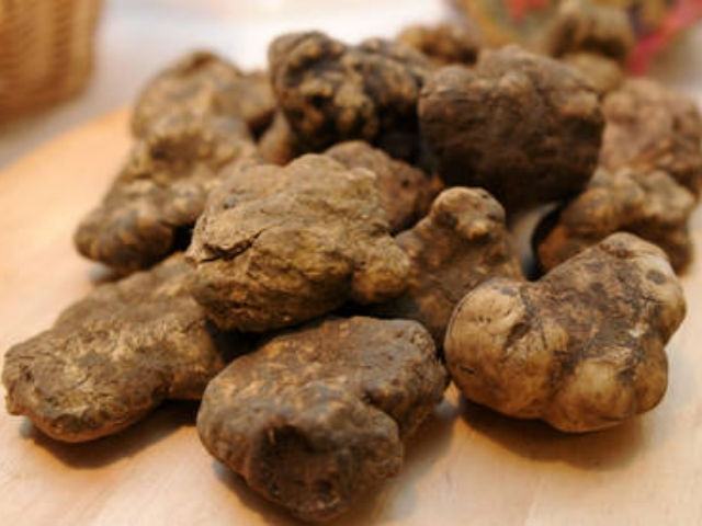 Convegno sul tartufo calabrese 51 3e4b3d256a2531e5e21a869496b34598