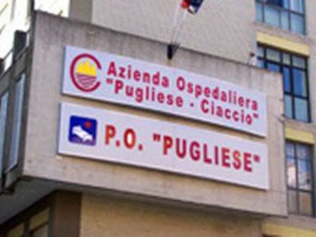 3f9c13ef2606b2a17c2bd56bfd33a012