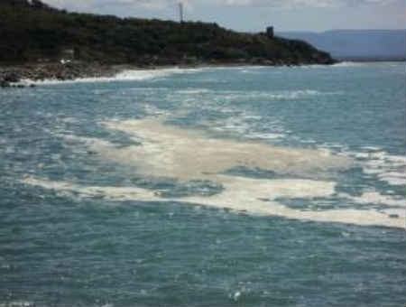 Schiuma galleggiante sullo Jonio, sibaritide nel panico 80 3fcea152502f3b6f7ada7b8d5b83ba44
