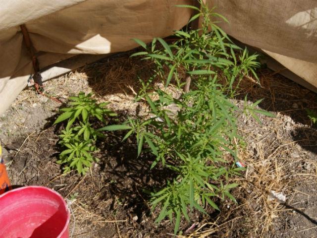 400a751f337518a072e23571079bf65d