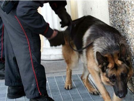 406c2794c179727dbbd6e1028539537c