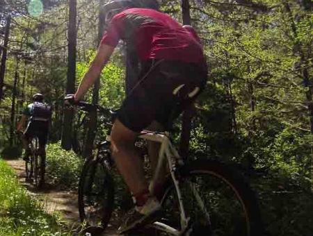 41fa1882ccac7f7d922f0aa31e08aa8f