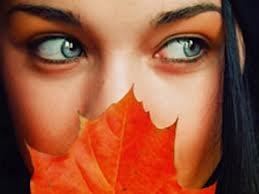 424920dded9c74a765ca6304ef5e1062