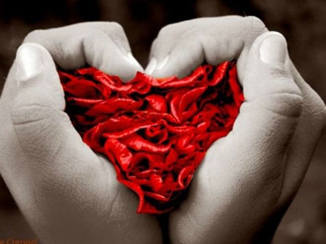 42e179c5417db81ad304b37426c5fe5f