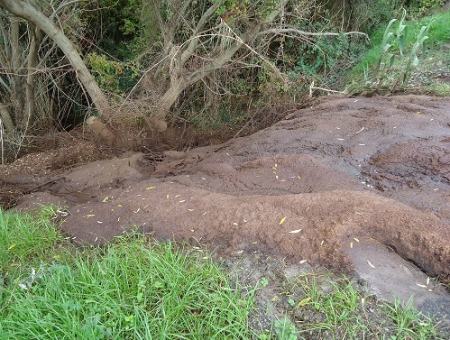 43366e33f224aa8d82643aca6bf0f4e6