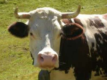 4345c267b0d89fc25b478598592498ee