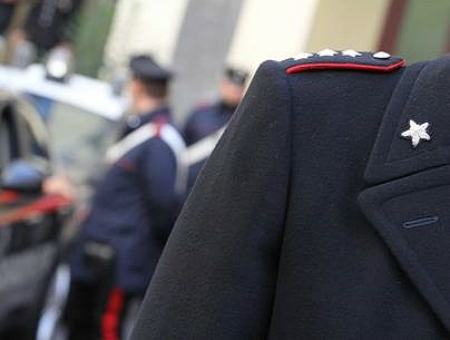 43afcb176a53d3dfc2489a96f35cf33d