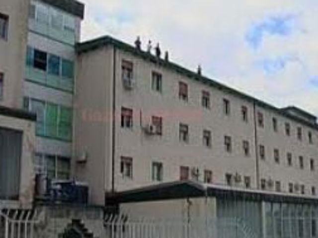 43be65894da4a3ba7ebc77cb9a72f0c8