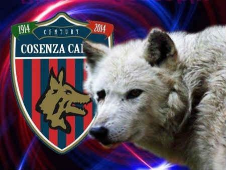 441d679d418591598c12c503f78a488c