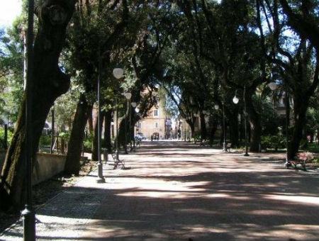 447739c51f6671cee457d9e24f160219