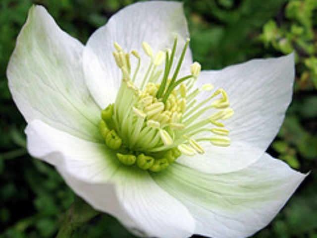 45b81561d9fbeaa33615bc38ab19e833