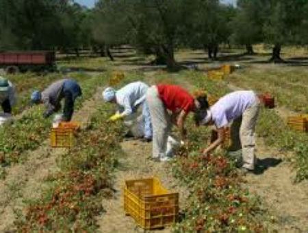 45be1c59694378d7222674aaec12717f