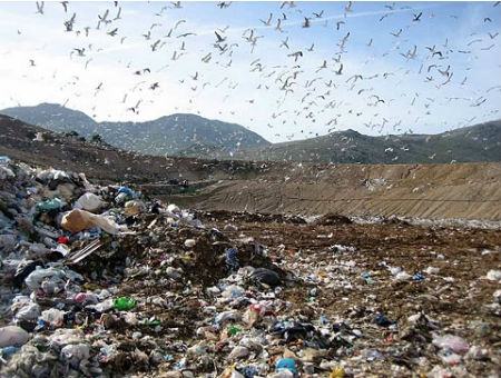 46cff8de2304c5681e57c01f0cea8ee7