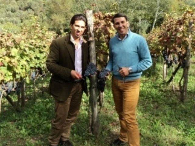 474d274e5c292af35bbd9c97bcd665e9