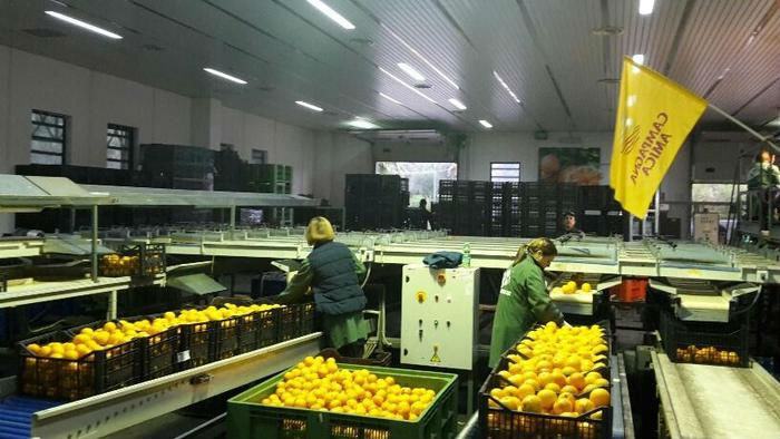 47bd371e1950f3b5cbeb7c75ca3e7a7f